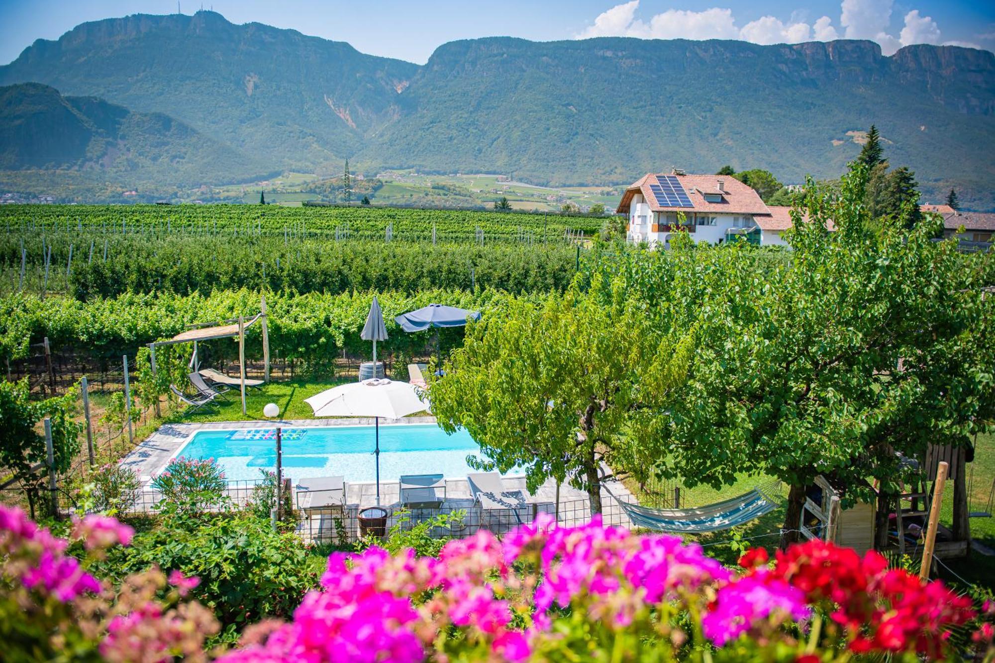 Apartamento Lochererhof Appiano Sulla Strada Del Vino Exterior foto