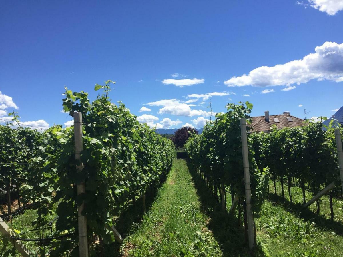 Apartamento Lochererhof Appiano Sulla Strada Del Vino Exterior foto