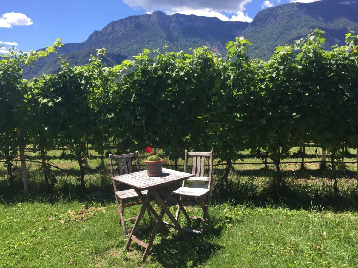 Apartamento Lochererhof Appiano Sulla Strada Del Vino Exterior foto