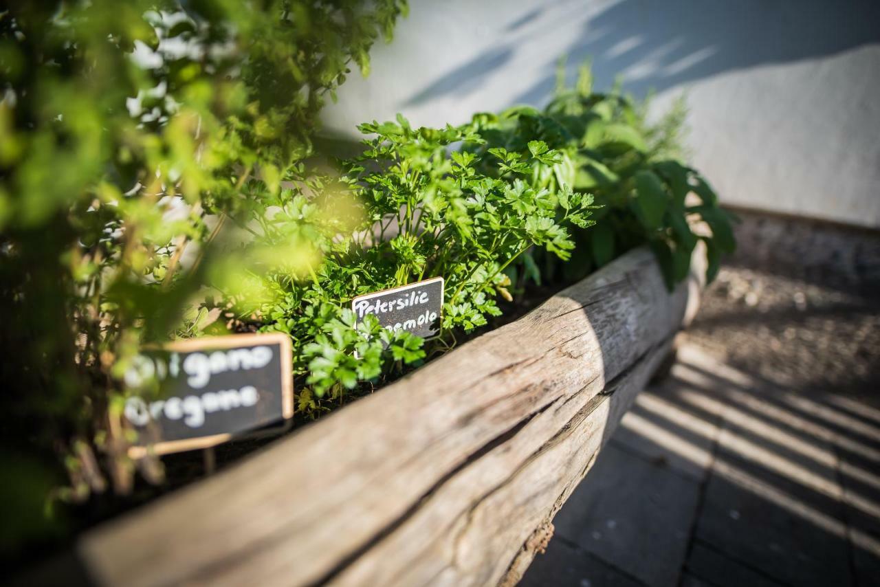 Apartamento Lochererhof Appiano Sulla Strada Del Vino Exterior foto