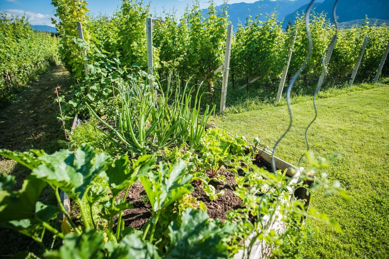 Apartamento Lochererhof Appiano Sulla Strada Del Vino Exterior foto